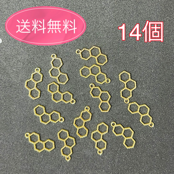  第1張的照片