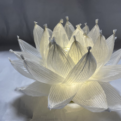 開花 蓮の花ランプ 平型 インテリアライト ナイトライト 7枚目の画像