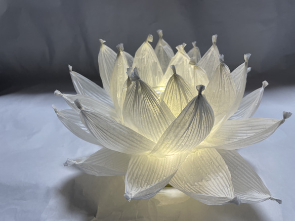 開花 蓮の花ランプ 平型 インテリアライト ナイトライト 7枚目の画像