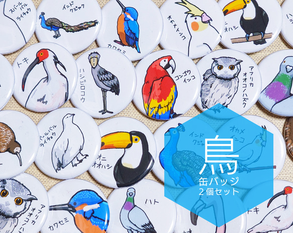 ２４種類から選べる　鳥　缶バッジ　２個セット 1枚目の画像