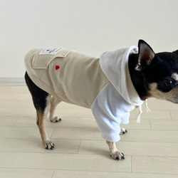【犬服】【送料無料】パーカー　オーガニックコットンベージュ　ポケットにハートを 9枚目の画像