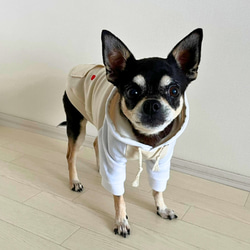 【犬服】【送料無料】パーカー　オーガニックコットンベージュ　ポケットにハートを 10枚目の画像