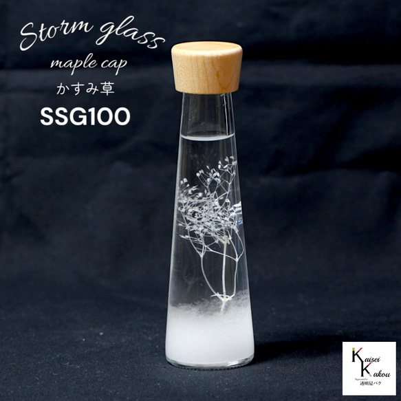 了解天氣！ 「風暴草與霞草楓樹帽 SSG100」氣像管氣象聖誕樹菲茨 第1張的照片