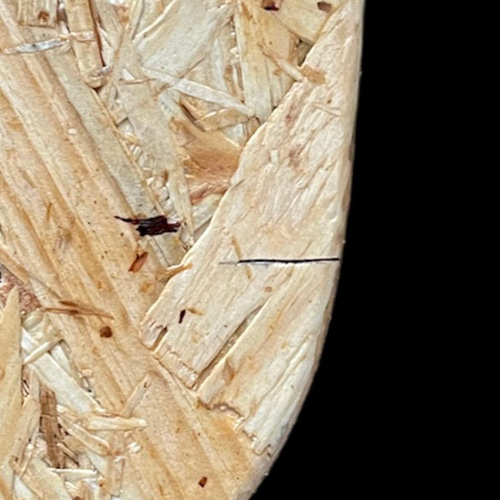 ビカクシダ・コウモリラン着生植物用着生板【麋角板】 9㍉厚のOSB