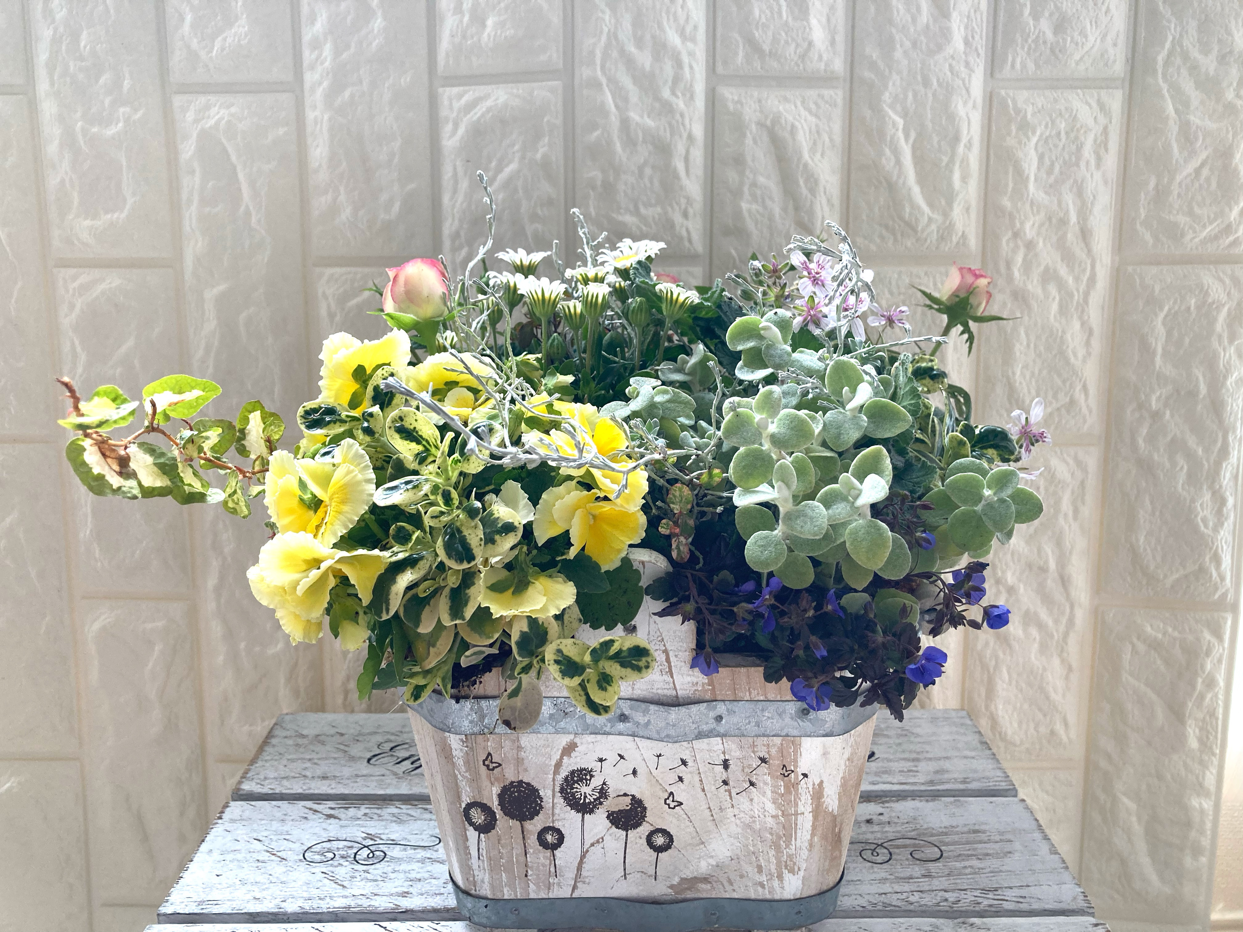 ウッド鉢に季節のギャザリング　寄せ植え