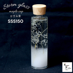 了解天氣！ 「風暴草與霞草楓木帽 SSS150」氣像管氣象聖誕樹菲茨 第1張的照片