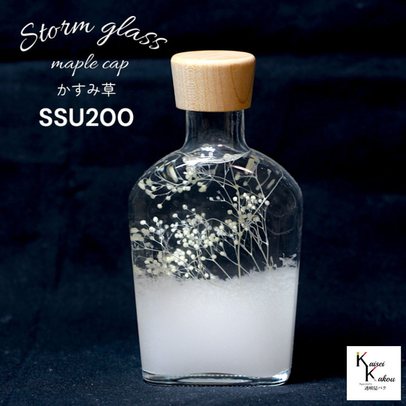 了解天氣！ 「風暴草與霞草楓木帽 SSU200」氣像管氣象聖誕樹菲茨 第1張的照片