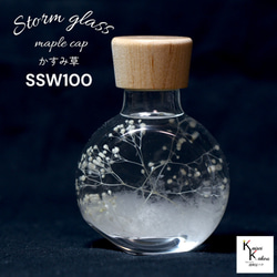 了解天氣！ 「風暴草與霞草楓木帽 SSW100」氣像管氣象聖誕樹菲茨 第1張的照片