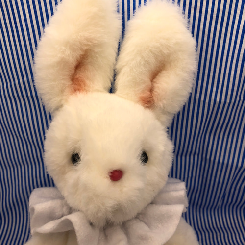 うさぎのぬいぐるみ テディラビット バニー 不思議の国のアリス うさぎ