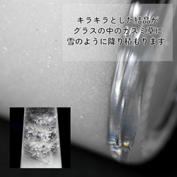 天気が分かる！「カスミ草入りストームグラス メープルキャップ UDN200」 天気管 天気 クリスマス ツリー 7枚目の画像