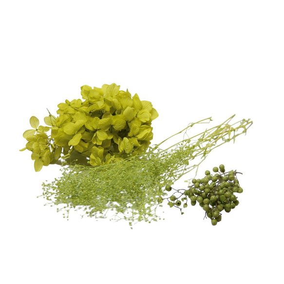 花材セット 「3種アソート ライトグリーン」 アジサイ カスミ草 ペッパーベリー プリザ ハーバリウム 花材 髪飾り 2枚目の画像