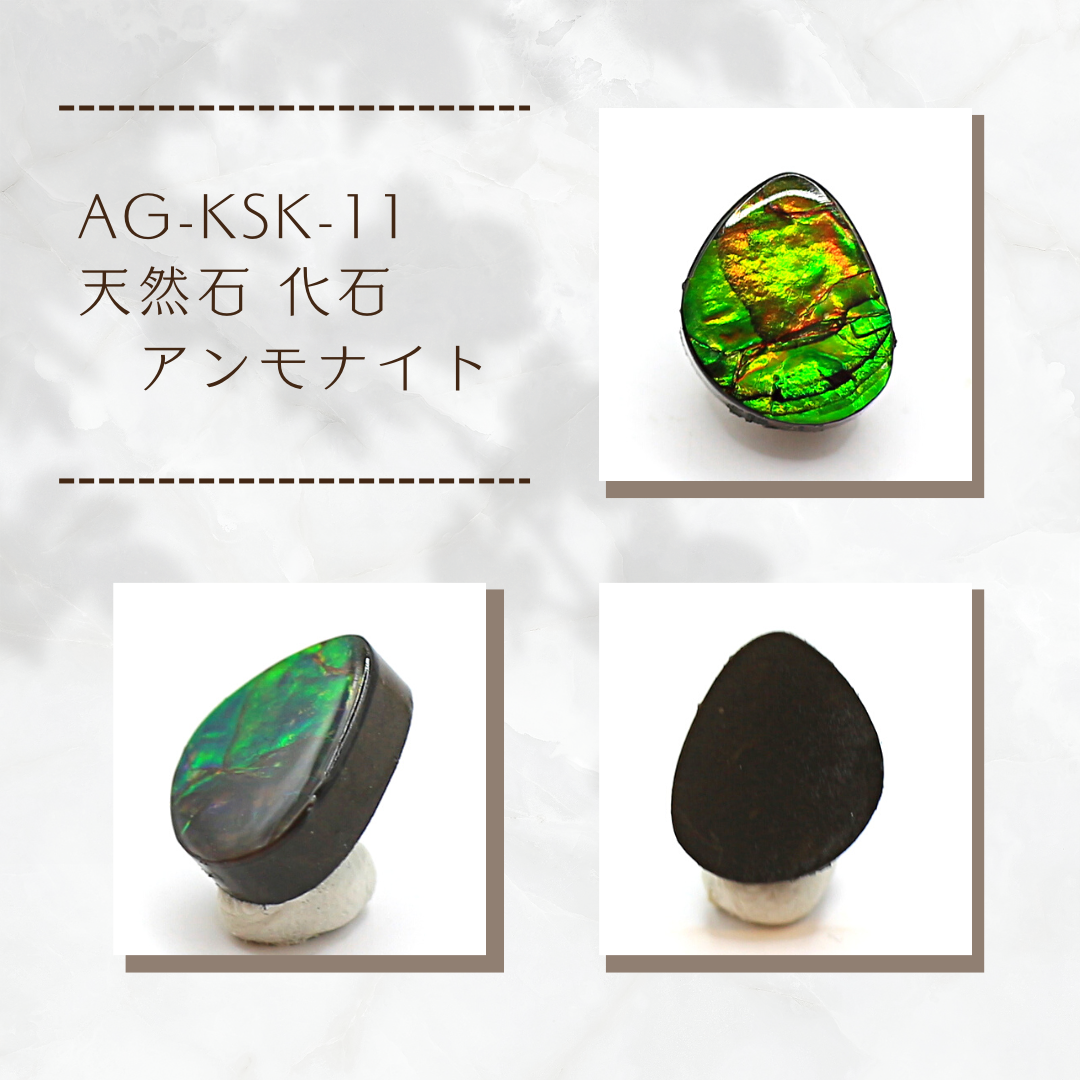 AG-KSK-11 天然石 化石 アンモナイト