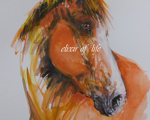 4fcd7d99eb9f85c9b5bd4f8bac8546