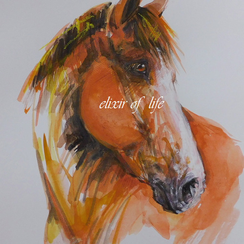 栗毛の馬のポートレート2024（A4サイズ、水彩画用紙、水彩、墨