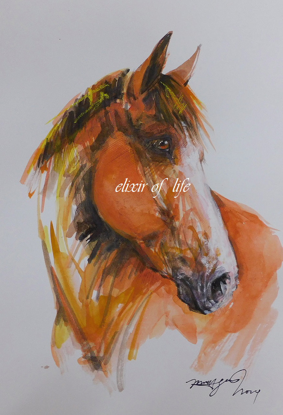 馬の水彩画 オレンジと黒 水彩画 暴れ馬 絵画 makochin 通販 17825403｜Creema(クリーマ)