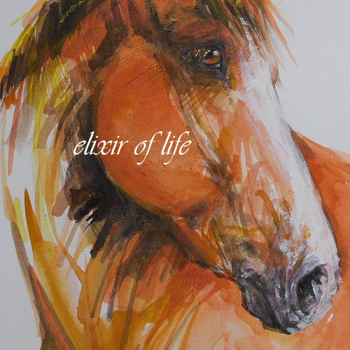 栗毛の馬のポートレート2024（A4サイズ、水彩画用紙、水彩、墨