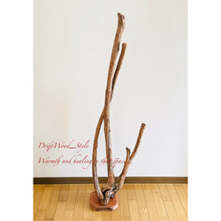 流木 照明（ライト）・ランプ のおすすめ人気通販｜Creema(クリーマ