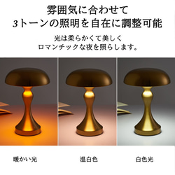 メタル 曲線が美しい テーブルランプ ランプシェード 照明 3色調光 タッチスイッチ LED USB充電 ch-1210 10枚目の画像