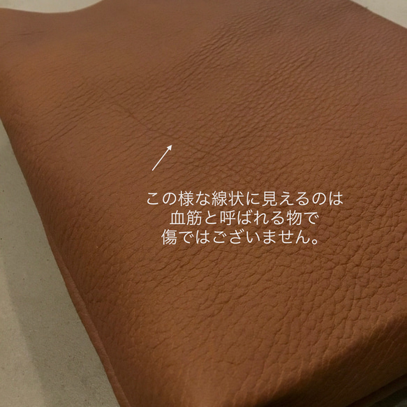  第14張的照片