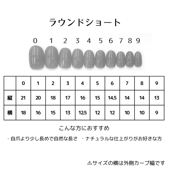 かな様専用ページ 3枚目の画像