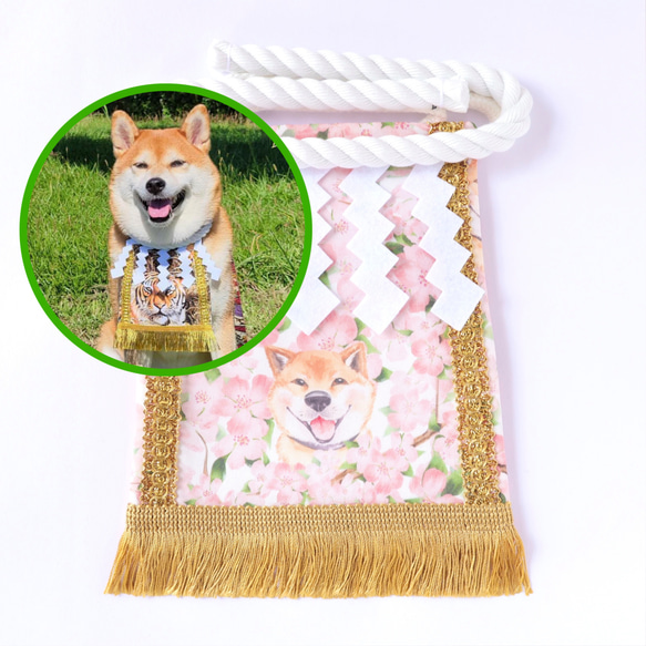 こだわり・中】ワンちゃん化粧まわし《笑顔満開の桜柴犬》【名入れOK
