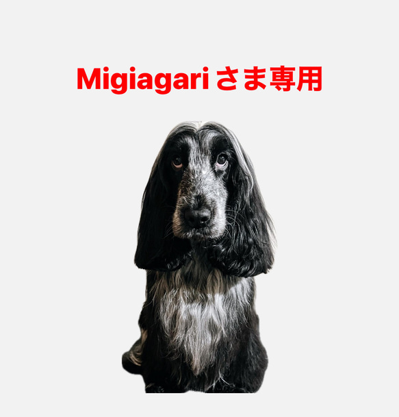 Migiagari様専用ページ 1枚目の画像