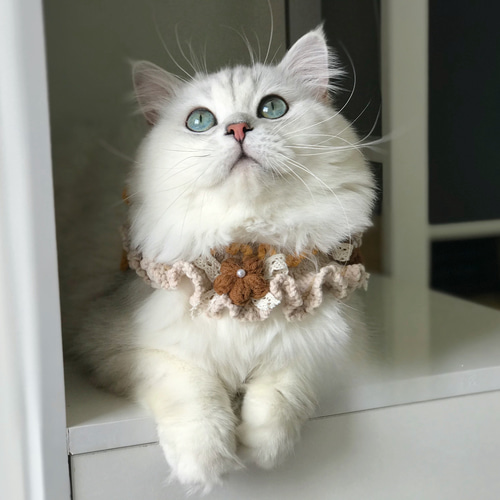 EMY's Gallery 猫襟 ワンちゃん襟 首輪 カギ編み 犬襟 つけ襟