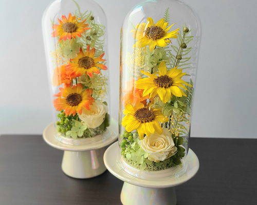 5a9fa566ecc2495e68dd35c300e433