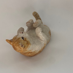オーブン陶土の腹筋を鍛える猫 3枚目の画像