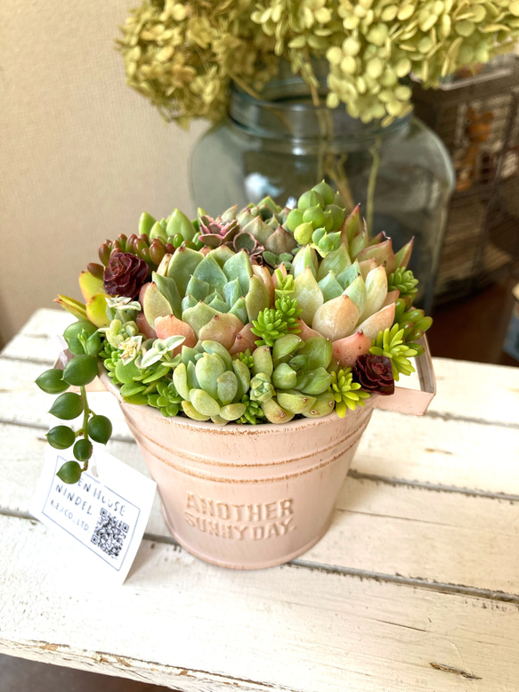 ★多肉植物　寄せ植え〜ブリキ　ハット寄せ〜★ ブリキ鉢の多肉寄せ植え♡多肉植物♡可愛い♡もりもり アートフラワー
