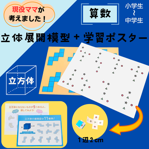 立方体11種 立体展開図模型 中学受験 知育玩具 小学生 中学生