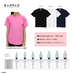 【2024/4/9更新】半袖Tシャツ各種の仕様・サイズ・お手入れ・在庫状況 6枚目の画像
