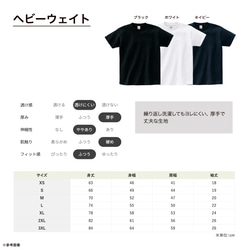 【2024/4/9更新】半袖Tシャツ各種の仕様・サイズ・お手入れ・在庫状況 4枚目の画像