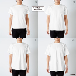 【2024/4/9更新】半袖Tシャツ各種の仕様・サイズ・お手入れ・在庫状況 11枚目の画像