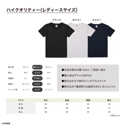 【2024/4/9更新】半袖Tシャツ各種の仕様・サイズ・お手入れ・在庫状況 3枚目の画像