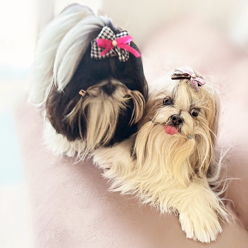 和柄 赤帯風 犬リボン キッズリボン 子供りぼん ヘア