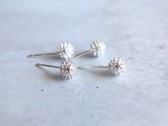 ☆新作☆毎日つけたい シルバー925【white clover シロツメクサ silver】ピアス 1枚目の画像