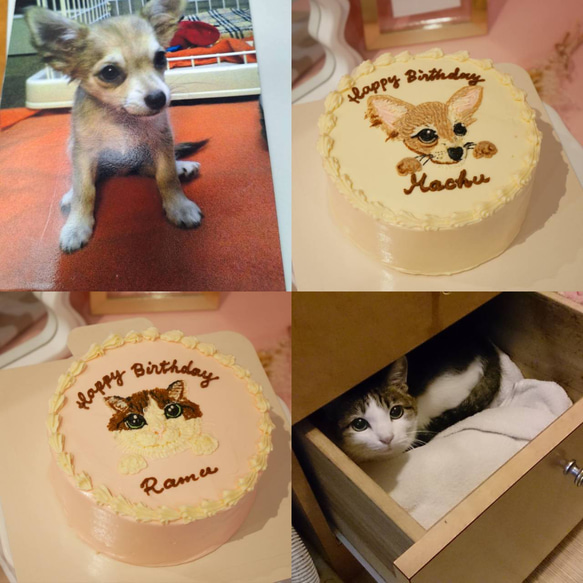 ペットのイラストケーキ　 6枚目の画像