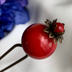 希少】大玉22ミリ赤珊瑚 簪 かんざし 送料無料 かんざし ciel 通販