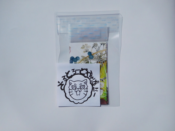 『野草とガーデンフラワー②』のラッピング袋小3枚/サイズ横幅60㎜×縦幅100㎜/紙/クリスタルパック 5枚目の画像
