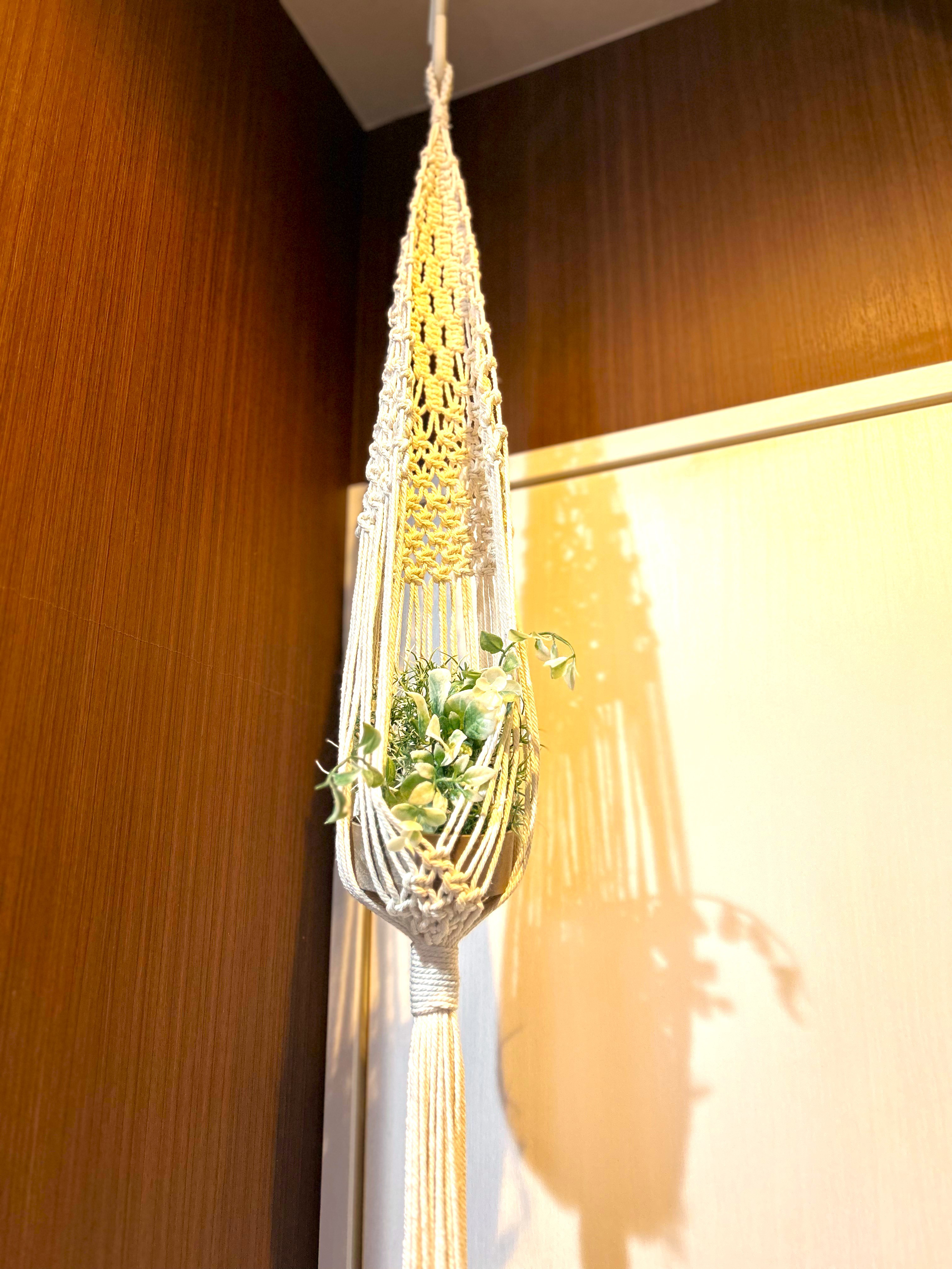 プラントハンガー/white