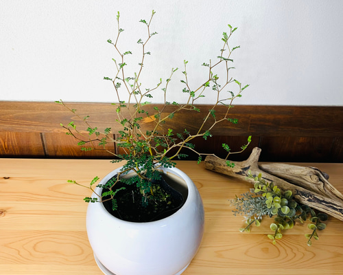 ff4dd36429b16c187002a9da7daec8