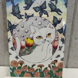 白猫の春　ポストカード3枚入りセット 2枚目の画像