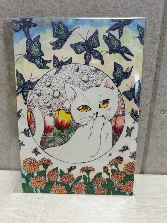 白猫の春　ポストカード3枚入りセット 2枚目の画像