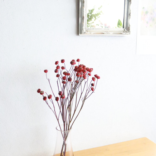 ローズヒップ・センセーショナルファンタジー 2本 ドライフラワー