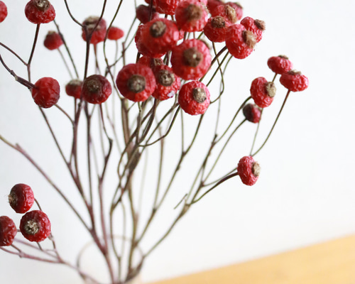 6a9b85c84ef0ae708f497520fbb661