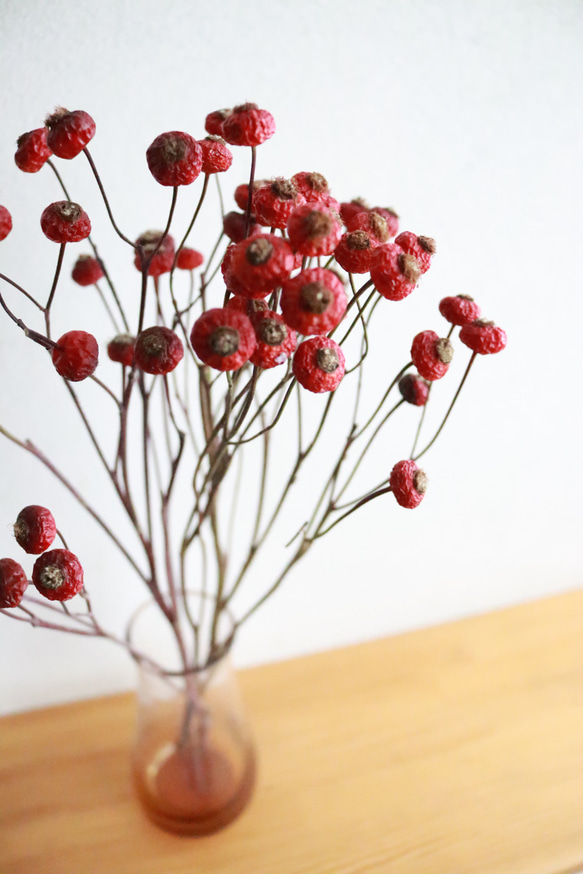 ローズヒップ・センセーショナルファンタジー 2本 ドライフラワー