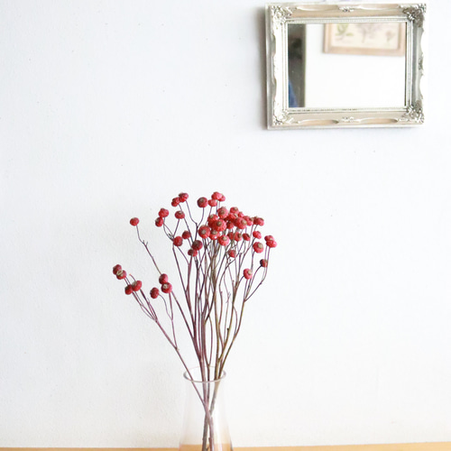 ローズヒップ・センセーショナルファンタジー 2本 ドライフラワー