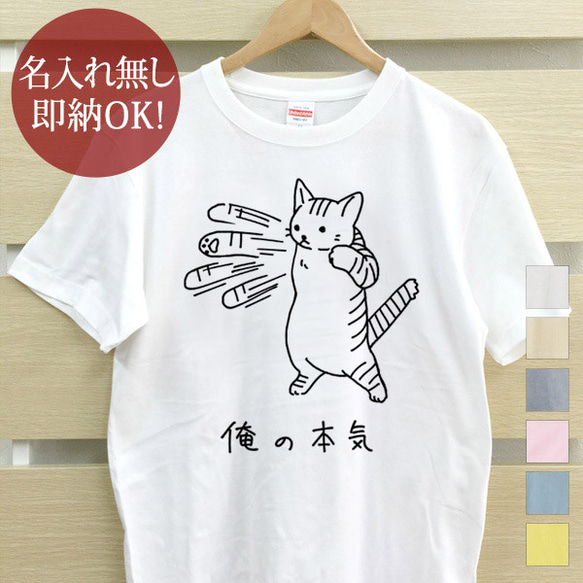 即納 大人用Tシャツ レディース メンズ [ 俺の本気 トラ猫 ] 虎猫 面白 おもしろ 綿100% カラー7色 1枚目の画像