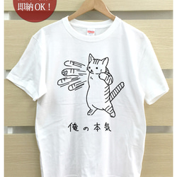 即納 大人用Tシャツ レディース メンズ [ 俺の本気 トラ猫 ] 虎猫 面白 おもしろ 綿100% カラー7色 2枚目の画像